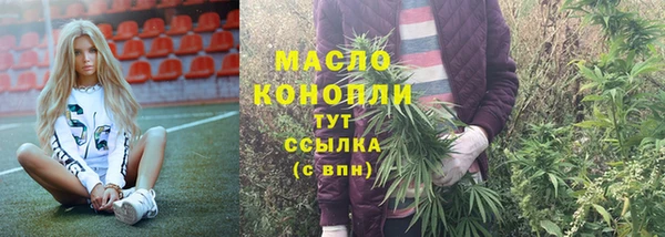 стафф Верхний Тагил