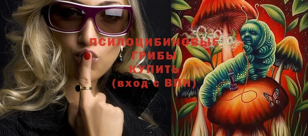 стафф Верхний Тагил