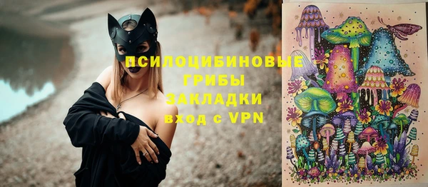 стафф Верхний Тагил