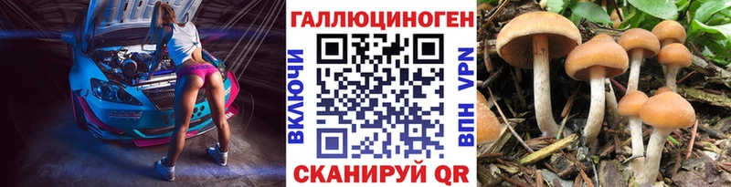 Псилоцибиновые грибы прущие грибы  закладка  это состав  Тюмень 